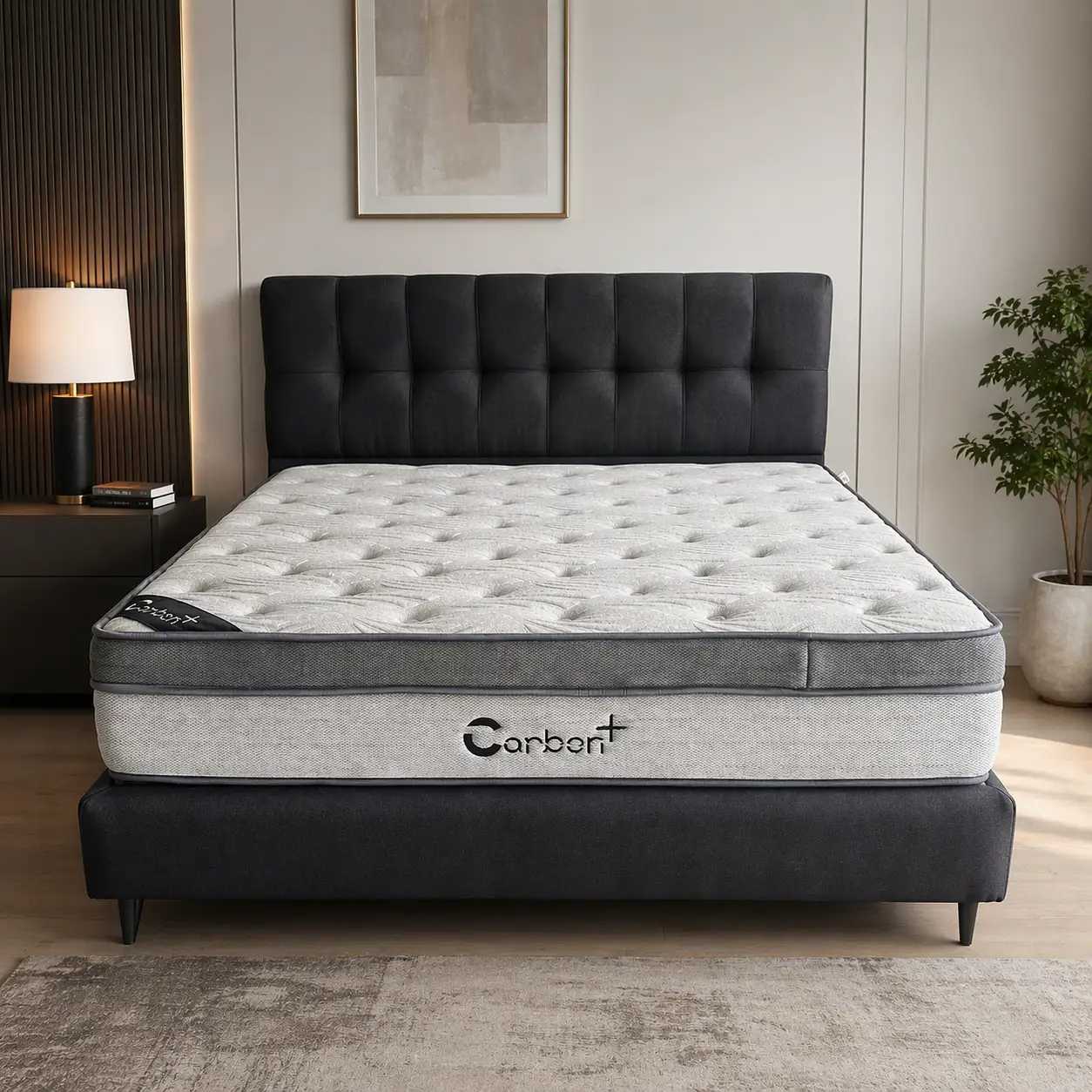Carbon Plus